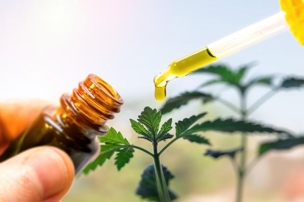 Medical Marijuana For A Healthy Life
